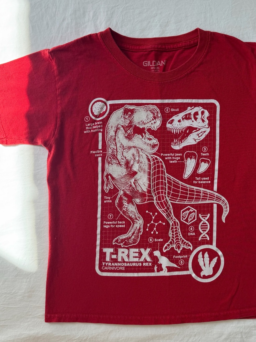 Gildan Kids Size 8 T-Rex Dinosaur Anatomy Graphic Tee Red